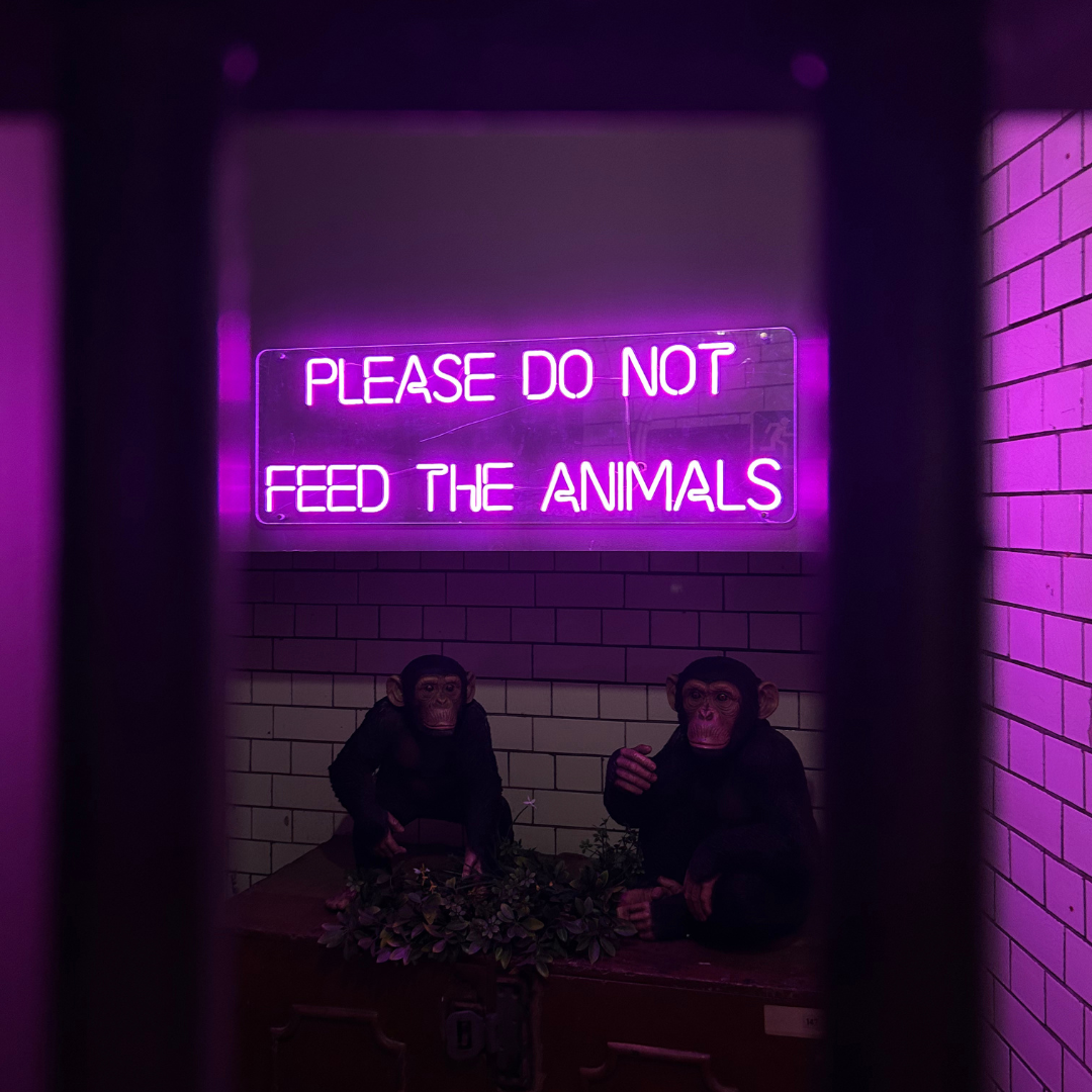 hospitality venue theatrix bar birmingham neon sign image